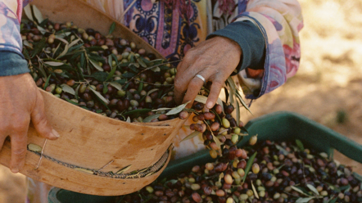 Tunisia is one of the world’s largest olive oil producers — but you’ll rarely see it mentioned on a label