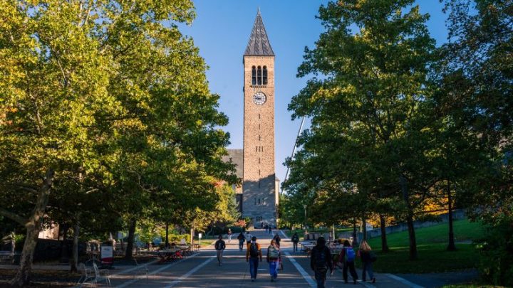 How Title IX investigations work and why experts say the system failed Cornell’s Jane Doe