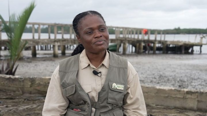 How this conservationist fought to bring an elusive monkey back from the brink of extinction