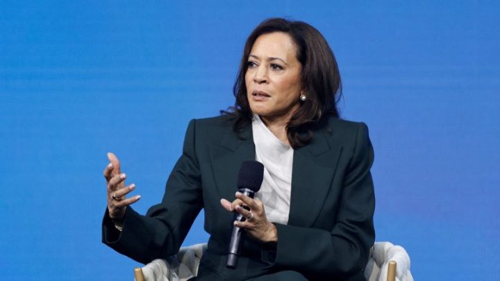 Kamala Harris joins calls for ‘slowdown’ in AI development