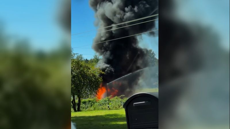 Military F-16 fighter jet crashes and bursts into flames in Michigan during training exercise